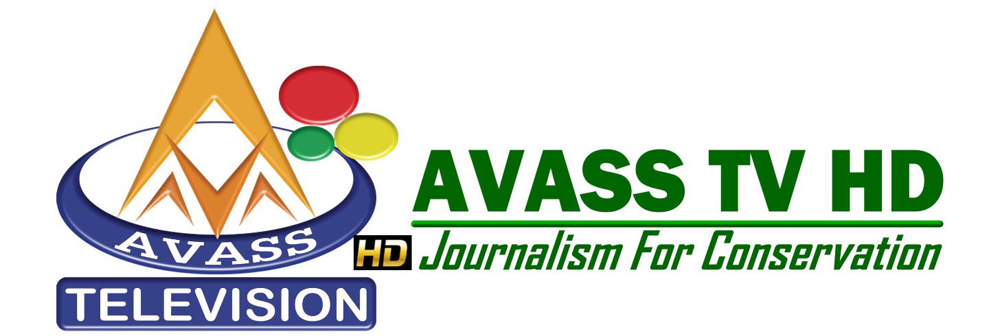 Avass Television